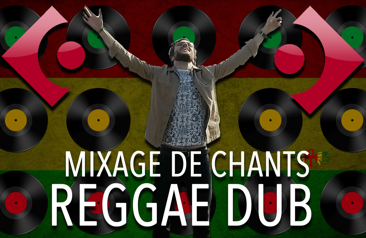 Voix Reggae Dub — le feeling et les effets authentiques